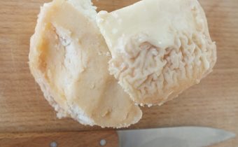 Kefírový syr s bielou plesňou