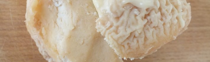 Kefírový syr s bielou plesňou